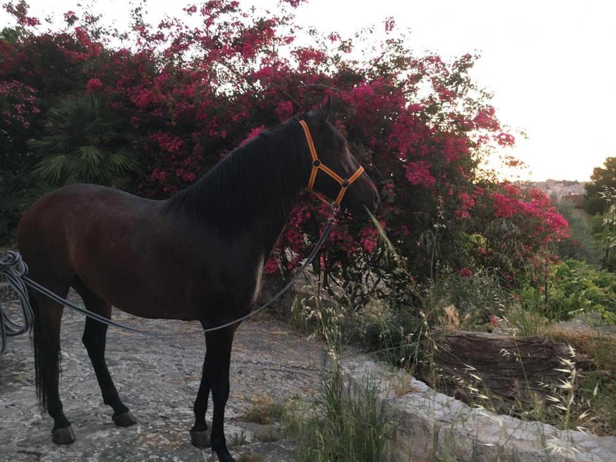 Country Sicily Home Favara Εξωτερικό φωτογραφία